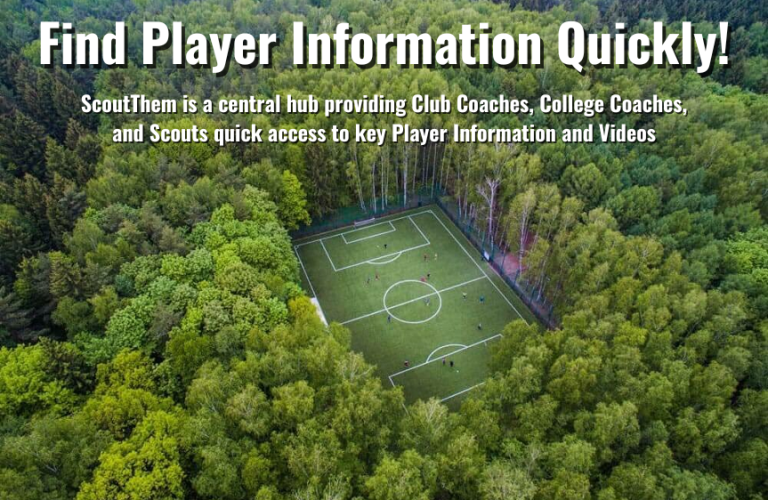 3- Find Player Information Quickly- forest